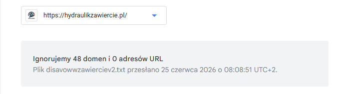 Narzędzie Disavow Tool w Google Search Console